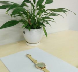 shiningintl cooperate with swtitzland client for electronic watch