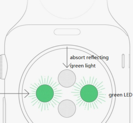 heart rate test theory