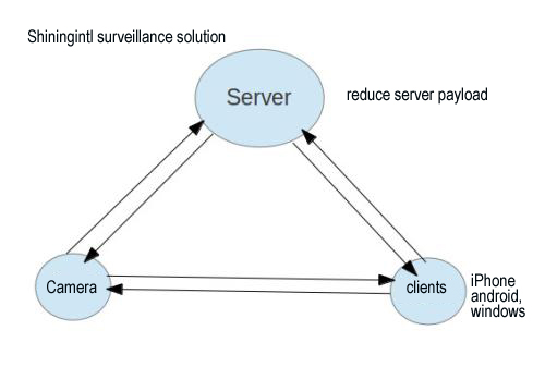 shiningintl surveillance p2p-topology
